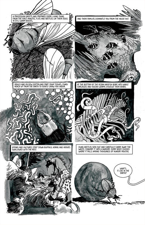 a page showing various different detritivores and carrion-eaters at their work.
