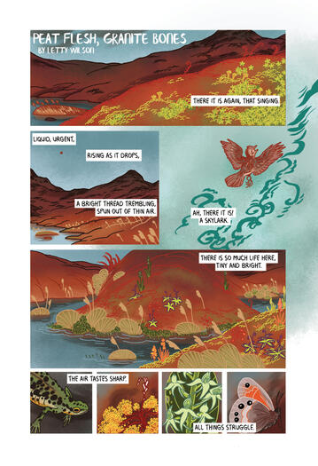 a comic page showing a peat bog and all the things that live there.