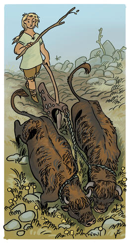 a pictish farmer ploughing their field with the help of two cows.