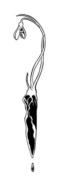 December's knife a knife with a hilt shaped like a snowdrop, the blade its icy melting root.